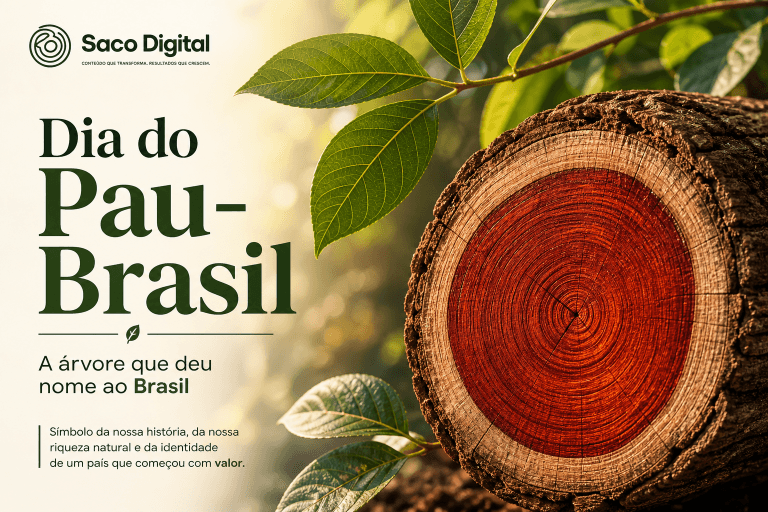 🌳 Dia do Pau-Brasil: a árvore que deu nome ao Brasil